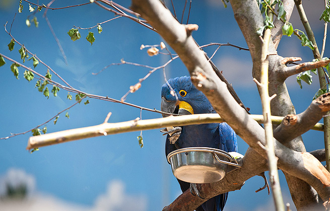 Web漏洞扫描工具