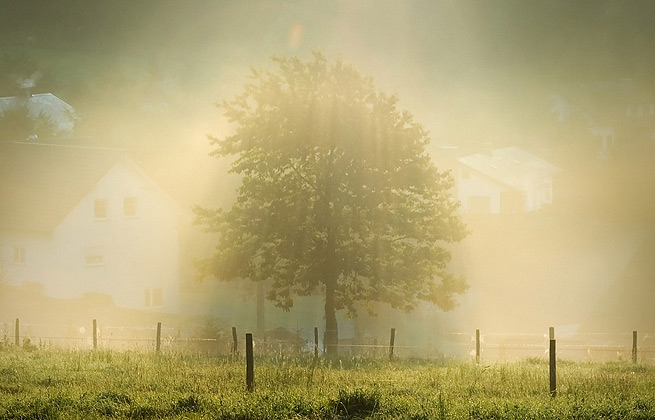 免费ddos在线攻击