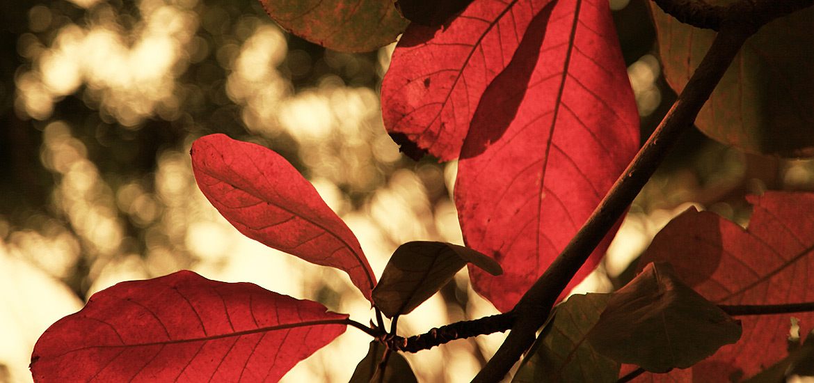 在线DDOS压力测试网页端